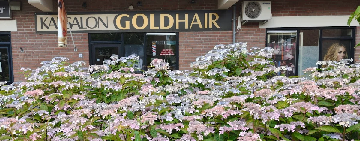 De salon in de zomer, met bloeiende hortensia's voor de deur