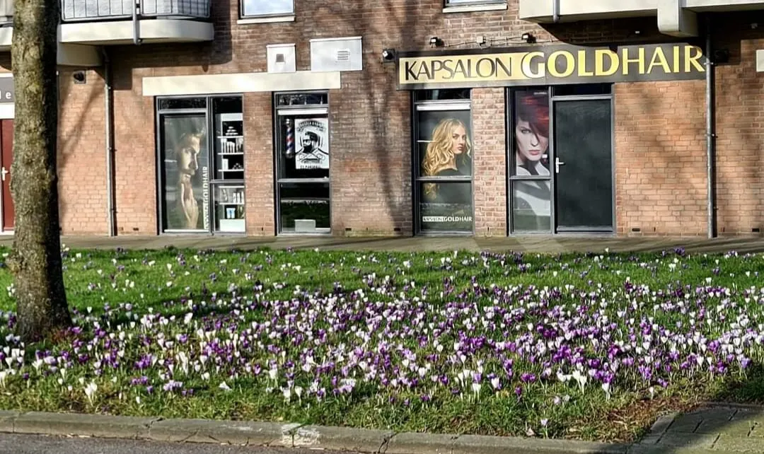 De salon aan de Melkkelder in het voorjaar, met krokussen in het gras
